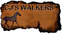 CJ's Tennessee Walkers - Wyoming - Home of Fine Tennessee Walking Horses